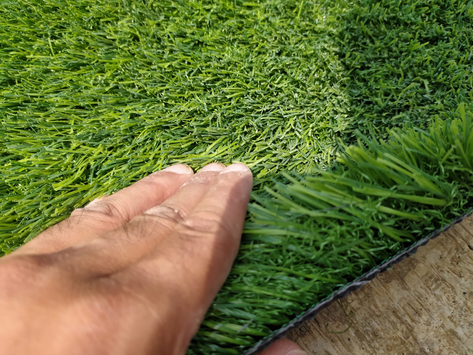 Rumput Sintetis Swiss